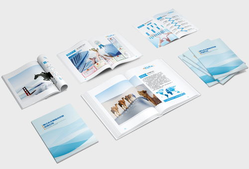 企業(yè)畫(huà)冊(cè) 公司簡(jiǎn)介 產(chǎn)品畫(huà)冊(cè) 科技畫(huà)冊(cè) 商務(wù)畫(huà)冊(cè)