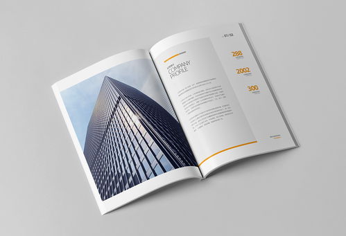 簡約大氣，專業信賴 商務咨詢與投資企業公司畫冊